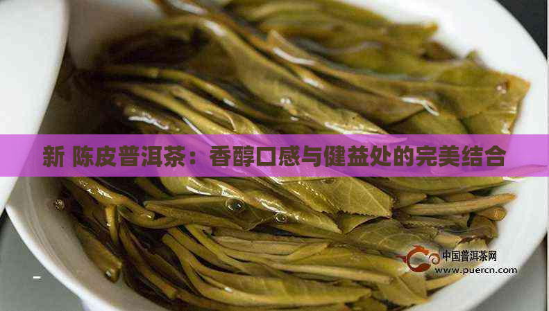 新 陈皮普洱茶：香醇口感与健益处的完美结合