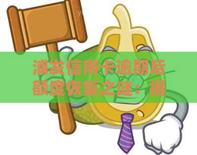 浦发信用卡逾期后额度恢复之谜：揭秘不为人知的操作方式