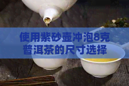 使用紫砂壶冲泡8克普洱茶的尺寸选择