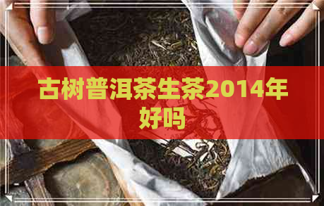 古树普洱茶生茶2014年好吗