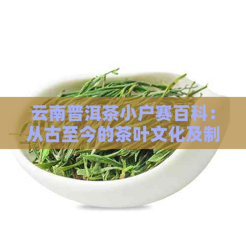 云南普洱茶小户赛百科：从古至今的茶叶文化及制作工艺