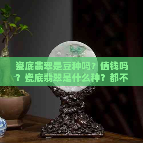 瓷底翡翠是豆种吗？值钱吗？瓷底翡翠是什么种？都不值钱吗？