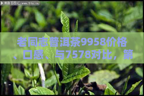 老同志普洱茶9958价格、口感、与7578对比，第131批次多少钱一斤？