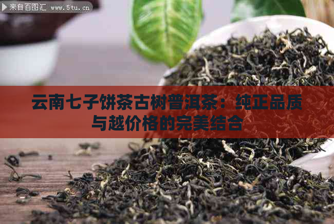 云南七子饼茶古树普洱茶：纯正品质与越价格的完美结合