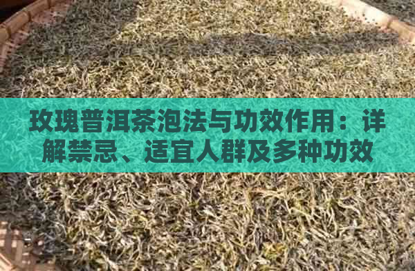 玫瑰普洱茶泡法与功效作用：详解禁忌、适宜人群及多种功效