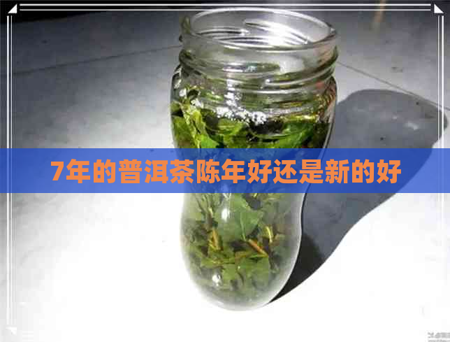 7年的普洱茶陈年好还是新的好