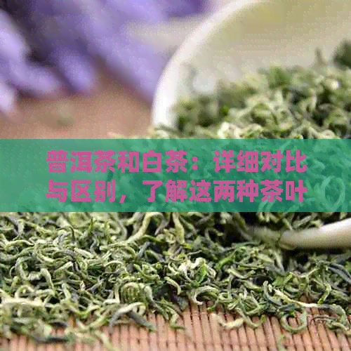 普洱茶和白茶：详细对比与区别，了解这两种茶叶的特点、功效及冲泡方法