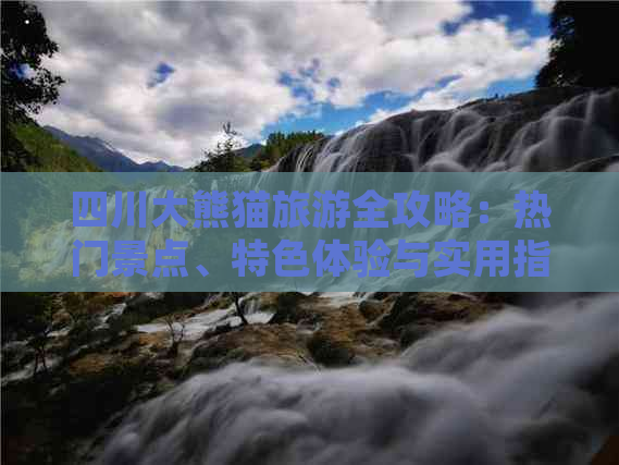 四川大熊猫旅游全攻略：热门景点、特色体验与实用指南