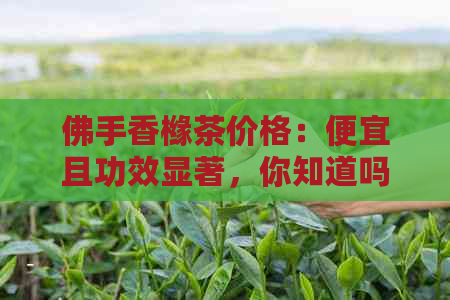 佛手香橼茶价格：便宜且功效显著，你知道吗？