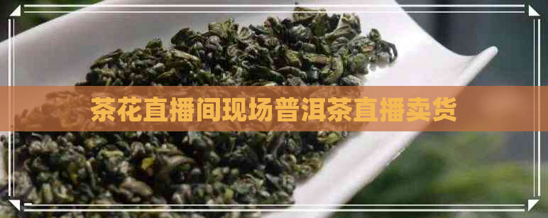 茶花直播间现场普洱茶直播卖货