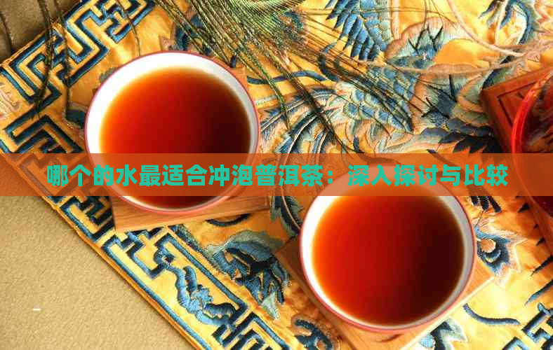 哪个的水最适合冲泡普洱茶：深入探讨与比较