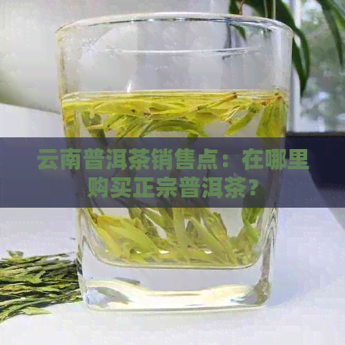 云南普洱茶销售点：在哪里购买正宗普洱茶？