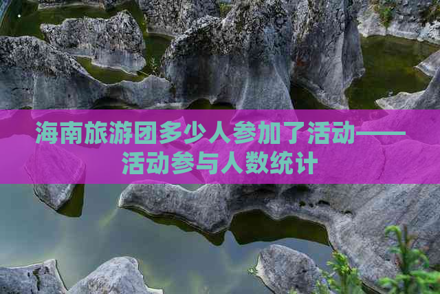 海南旅游团多少人参加了活动——活动参与人数统计