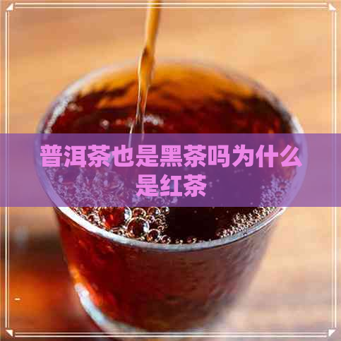 普洱茶也是黑茶吗为什么是红茶