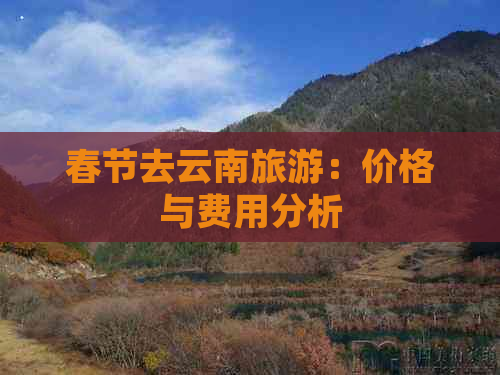 春节去云南旅游：价格与费用分析