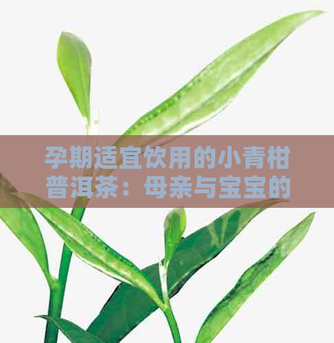 孕期适宜饮用的小青柑普洱茶：母亲与宝宝的健关照