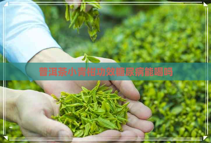 普洱茶小青柑功效糖尿病能喝吗