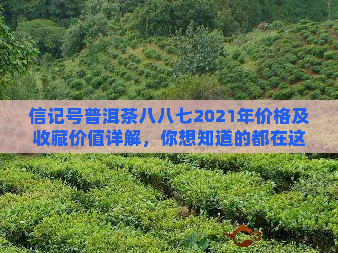 信记号普洱茶八八七2021年价格及收藏价值详解，你想知道的都在这里！