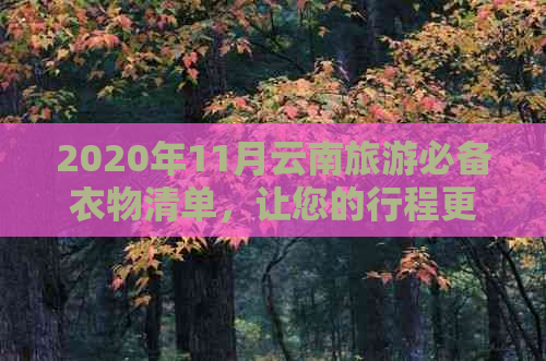 2020年11月云南旅游必备衣物清单，让您的行程更加舒适和时尚