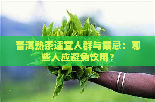 普洱熟茶适宜人群与禁忌：哪些人应避免饮用？