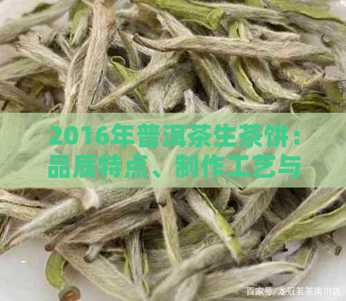 2016年普洱茶生茶饼：品质特点、制作工艺与品饮方法的全面解析