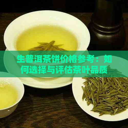 生普洱茶饼价格参考：如何选择与评估茶叶品质