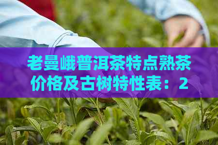 老曼峨普洱茶特点熟茶价格及古树特性表：2007年老曼峨普洱茶价格