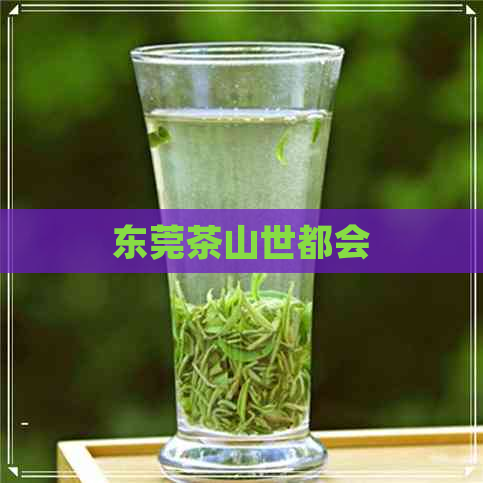 东莞茶山世都会