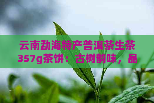 云南勐海特产普洱茶生茶357g茶饼：古树韵味，品质越，经典之作