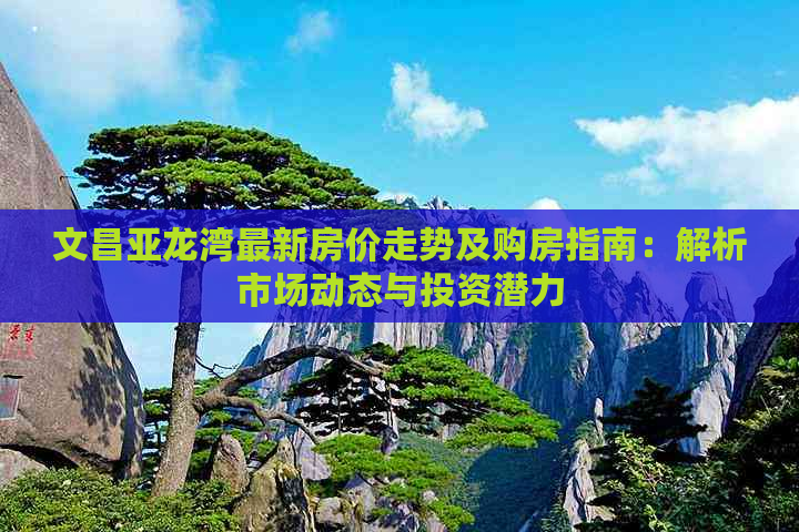 文昌亚龙湾最新房价走势及购房指南：解析市场动态与投资潜力