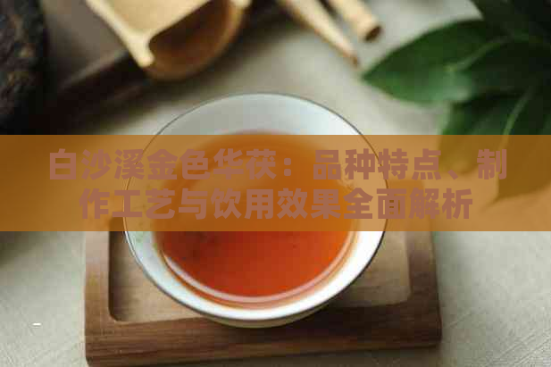 白沙溪金色华茯：品种特点、制作工艺与饮用效果全面解析