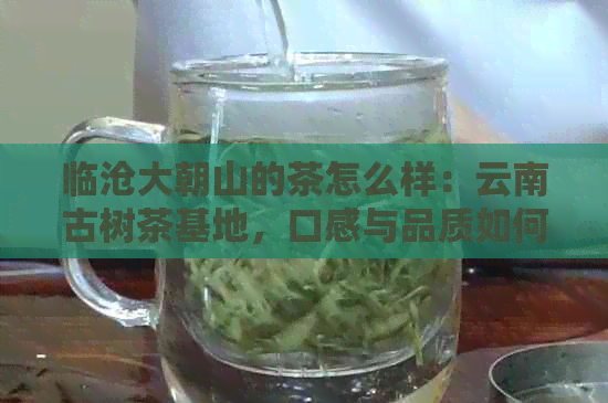 临沧大朝山的茶怎么样：云南古树茶基地，口感与品质如何？