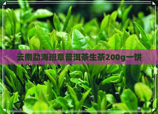 云南勐海班章普洱茶生茶200g一饼