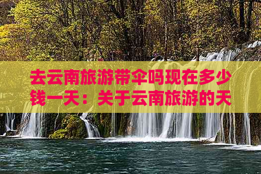 去云南旅游带伞吗现在多少钱一天：关于云南旅游的天气与伞的价格信息