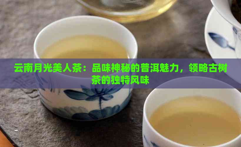 云南月光美人茶：品味神秘的普洱魅力，领略古树茶的独特风味