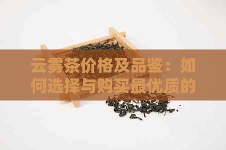 云雾茶价格及品鉴：如何选择与购买更优质的茶叶？