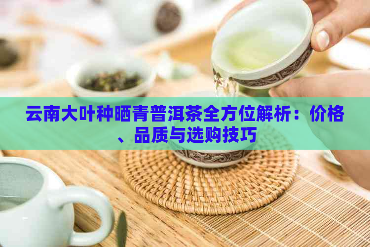 云南大叶种晒青普洱茶全方位解析：价格、品质与选购技巧