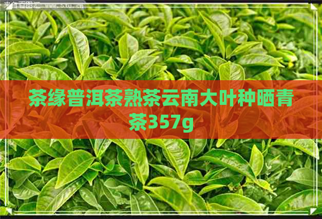 茶缘普洱茶熟茶云南大叶种晒青茶357g