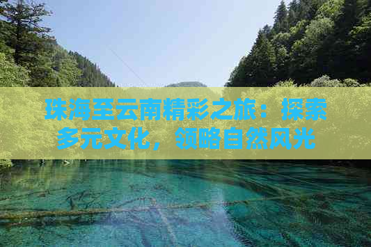 珠海至云南精彩之旅：探索多元文化，领略自然风光