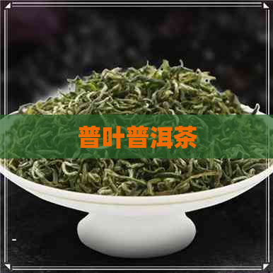 普叶普洱茶