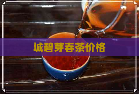 城碧芽春茶价格