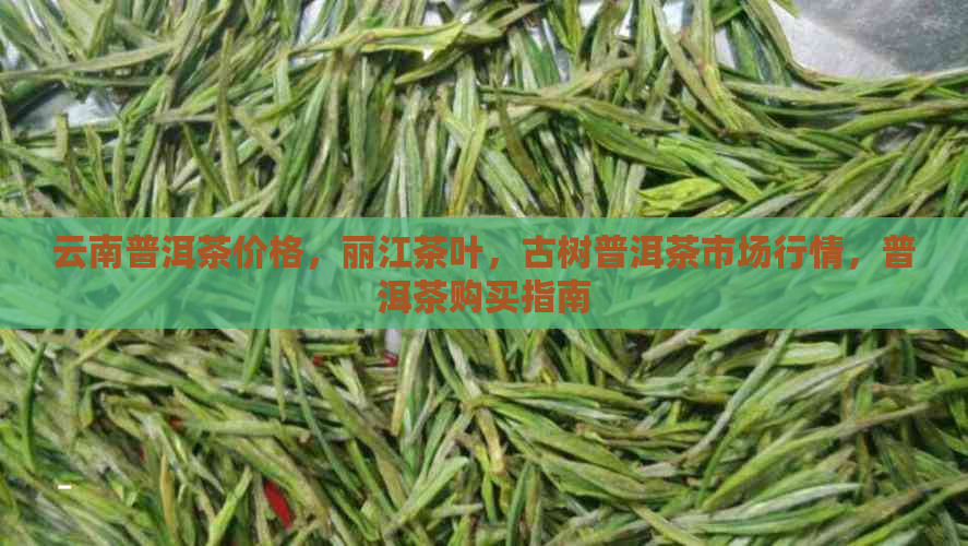 云南普洱茶价格，丽江茶叶，古树普洱茶市场行情，普洱茶购买指南