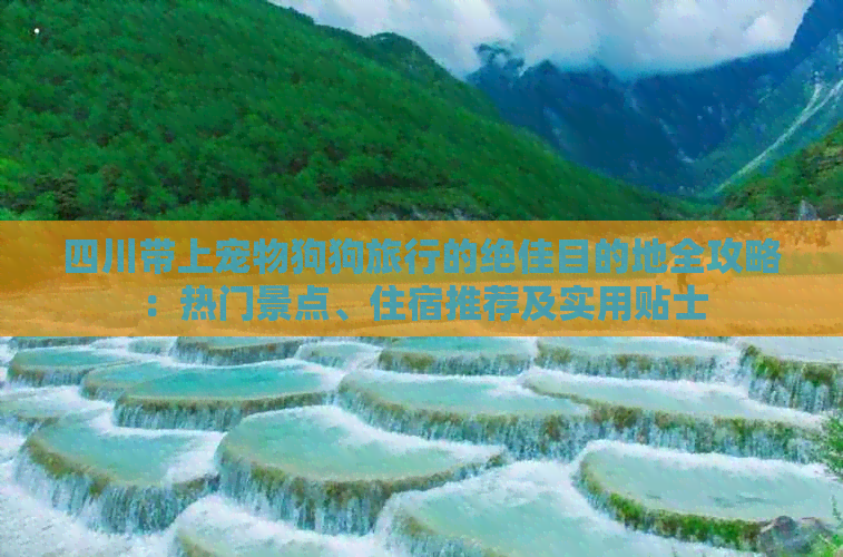 四川带上宠物狗狗旅行的绝佳目的地全攻略：热门景点、住宿推荐及实用贴士