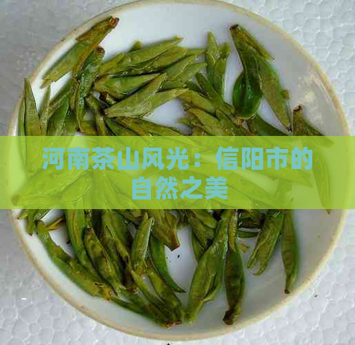 河南茶山风光：信阳市的自然之美