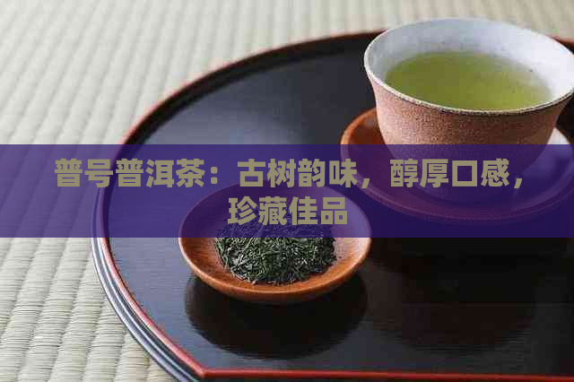 普号普洱茶：古树韵味，醇厚口感，珍藏佳品