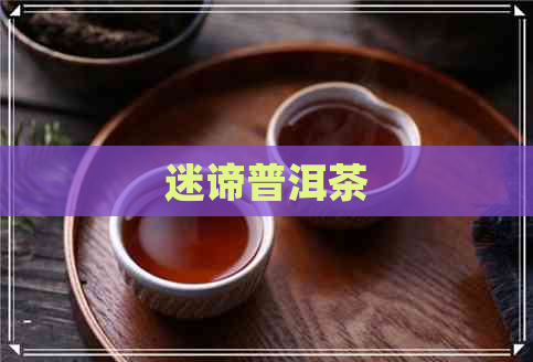 迷谛普洱茶