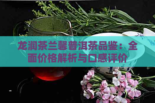 龙润茶兰馨普洱茶品鉴：全面价格解析与口感评价