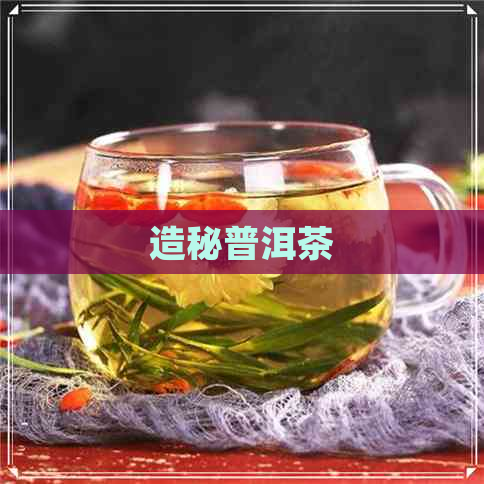 造秘普洱茶