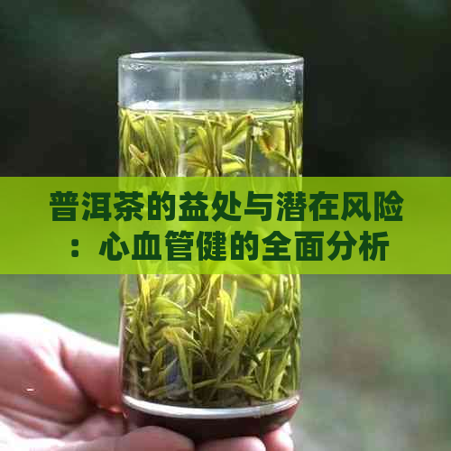 普洱茶的益处与潜在风险：心血管健的全面分析