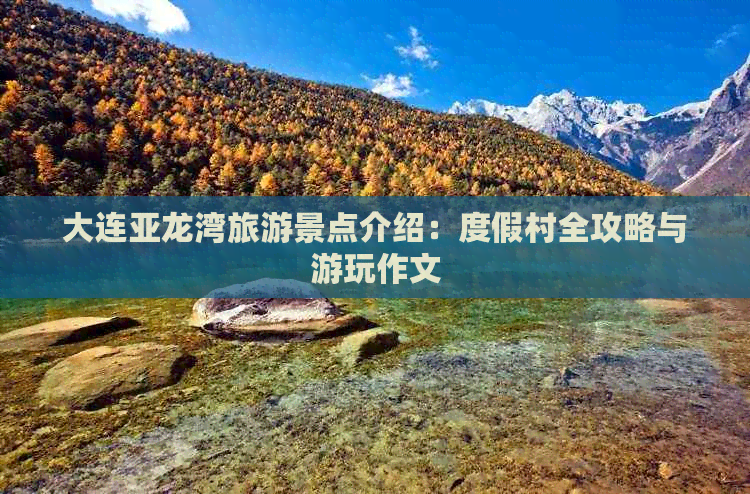 大连亚龙湾旅游景点介绍：度假村全攻略与游玩作文